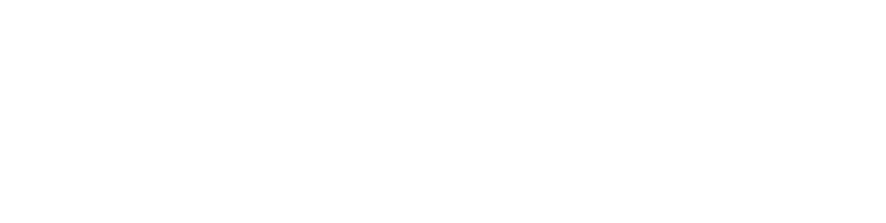 Logo Scène de Nuit Accueil